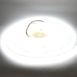 Banda LED COB 24V 8mm 320 LED/m Alb Rece 5m