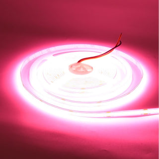 Banda LED COB 24V 8mm 320 LED/m Roz 5m