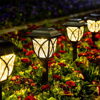 Juego de 6 lámparas solares para jardín